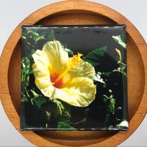 ✨3/$25✨ Yellow Hibiscus Photo Magnet